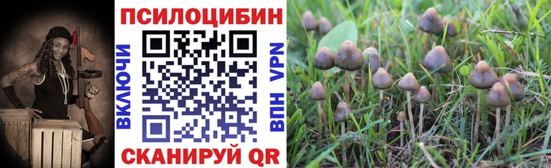 наркошоп Красково Псилоцибиновые грибы Magic Shrooms